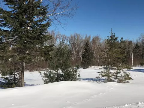 8 Marbles Way, Rangeley, ME 04970 photo 9