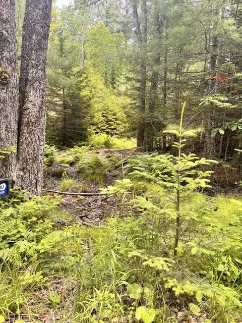 22 Pierce Pond Rd # A, Penobscot, ME 04476