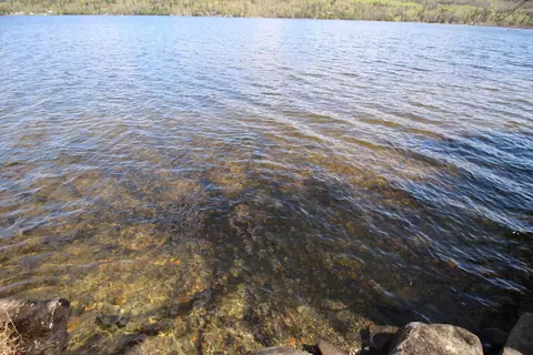 157 S Shore Dr, Rangeley Plt, ME 04970 photo 5