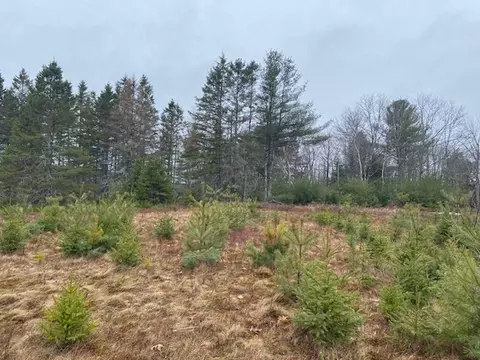lot5 Copeland Hill Rd, Holden, ME 04429