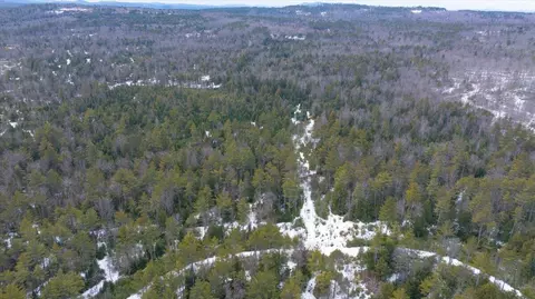 lot21 Plains Rd, Harrison, ME 04040 photo 3