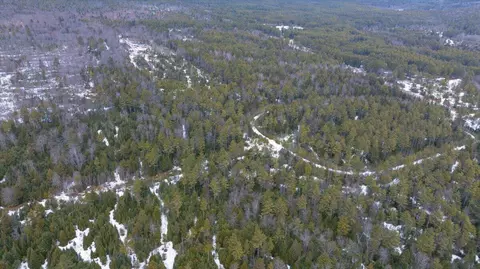 lot21 Plains Rd, Harrison, ME 04040 photo 6