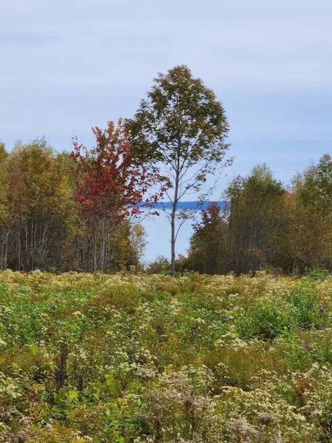 lot52 Us- Route 1, Robbinston, ME 04668 photo 6