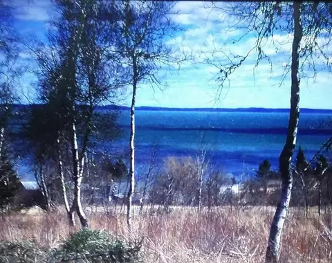 lot52 Us- Route 1, Robbinston, ME 04668 photo 7