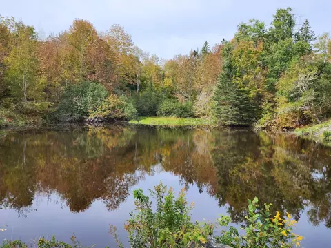 lot52 Us- Route 1, Robbinston, ME 04668 photo 3