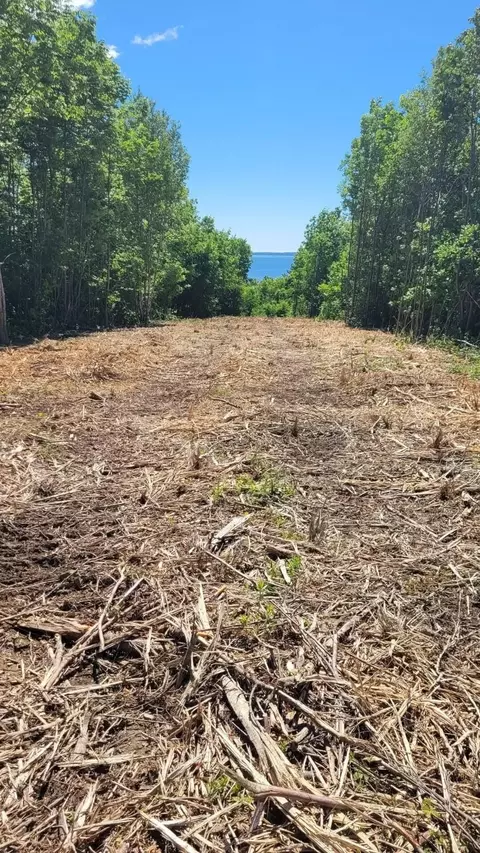 lot52 Us- Route 1, Robbinston, ME 04668 photo 10