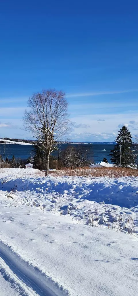 lot52 Us- Route 1, Robbinston, ME 04668 photo 11