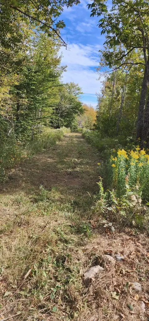 lot52 Us- Route 1, Robbinston, ME 04668 photo 9