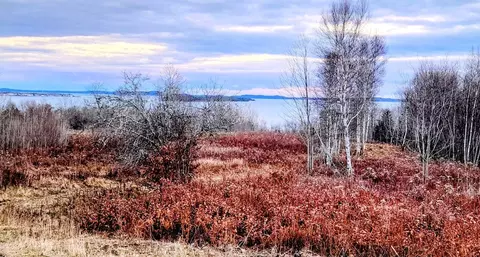 lot52 Us- Route 1, Robbinston, ME 04668