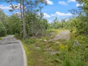 lot2 Map 49 Lot 162 Sanborn Rd, Newfield, ME 04095