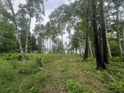 lot1 Puffins Ln, Machiasport, ME 04655