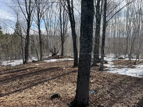 Exterior - 200 Clark Rd, Patten, ME 04765 photo 9 of 11