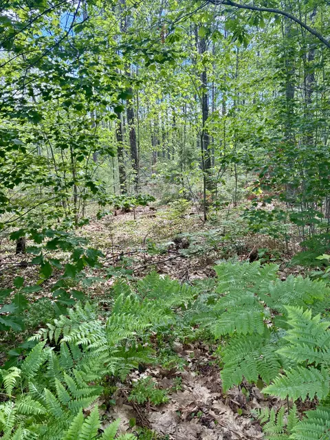 lot16 Whittier Rd, Farmington, ME 04938