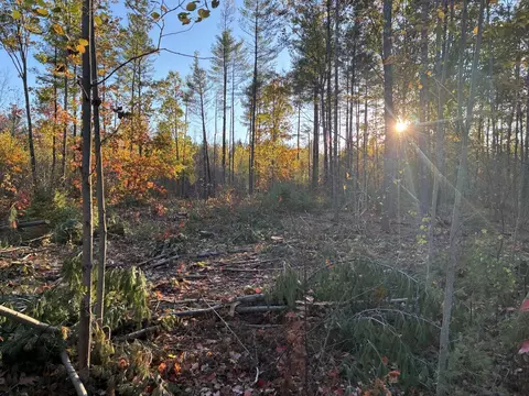 lot16 Whittier Rd, Farmington, ME 04938