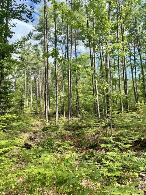 lot16 Whittier Rd, Farmington, ME 04938