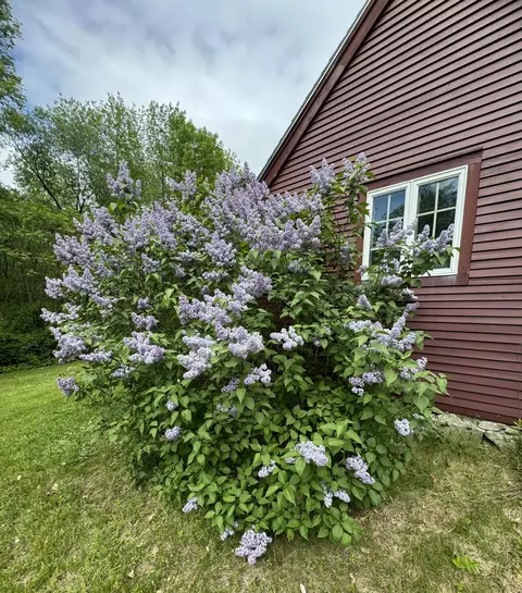 704 Cedar Grove Rd, Dresden, ME 04342