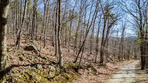 0 King Streetbenny Babb Hill Rd, Hiram, ME 04041