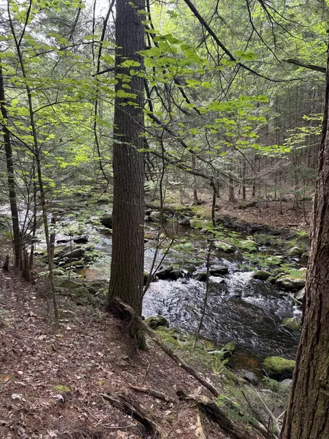 5 Bog Brook Loop, West Paris, ME 04289