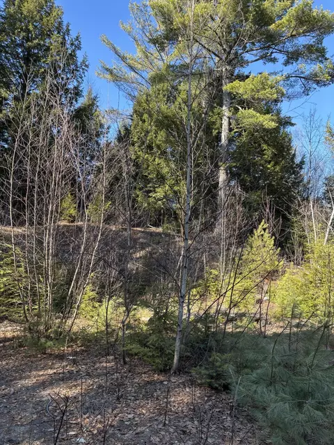 6 Bog Brook Loop, West Paris, ME 04289
