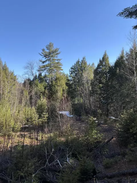 7 Bog Brook Loop, West Paris, ME 04289