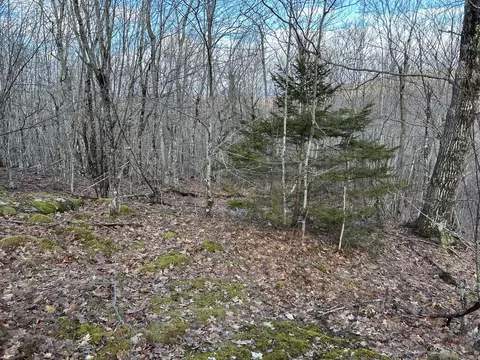 Map8lot6 Cmp, Prospect, ME 04981 photo 3
