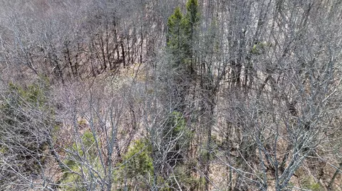 Map8lot6 Cmp, Prospect, ME 04981 photo 49