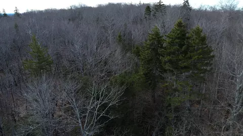 Map8lot6 Cmp, Prospect, ME 04981 photo 8