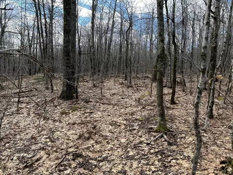 Map8lot6 Cmp, Prospect, ME 04981 photo 33