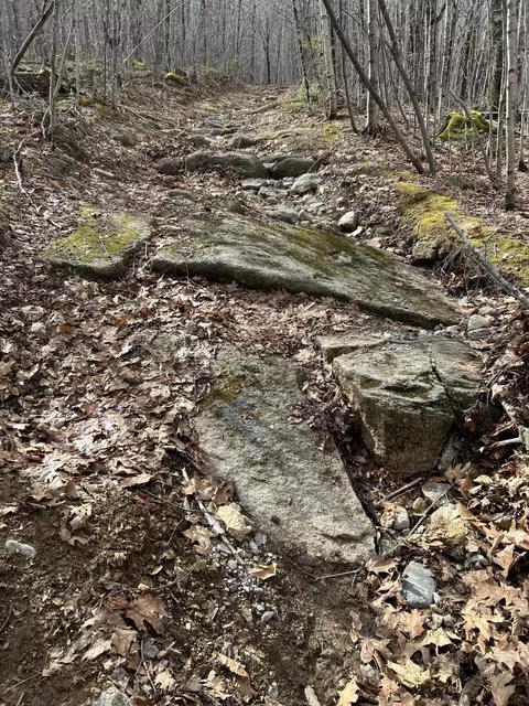 Map8lot6 Cmp, Prospect, ME 04981 photo 20