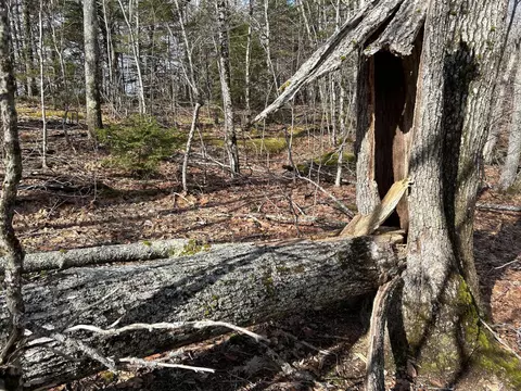 Map8lot6 Cmp, Prospect, ME 04981 photo 38