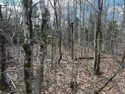 Map8lot6 Cmp, Prospect, ME 04981 photo 43