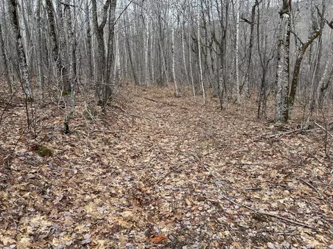 Map8lot6 Cmp, Prospect, ME 04981 photo 21
