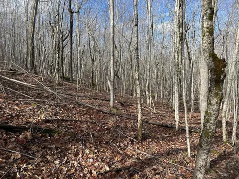 Map8lot6 Cmp, Prospect, ME 04981 photo 12