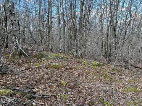 Map8lot6 Cmp, Prospect, ME 04981 photo 40