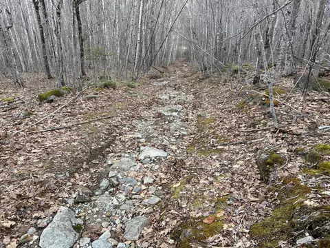 Map8lot6 Cmp, Prospect, ME 04981 photo 19