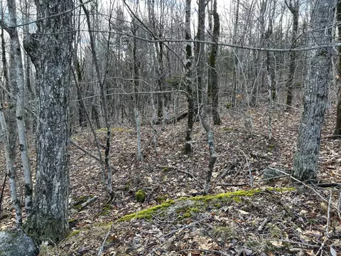 Map8lot6 Cmp, Prospect, ME 04981 photo 5