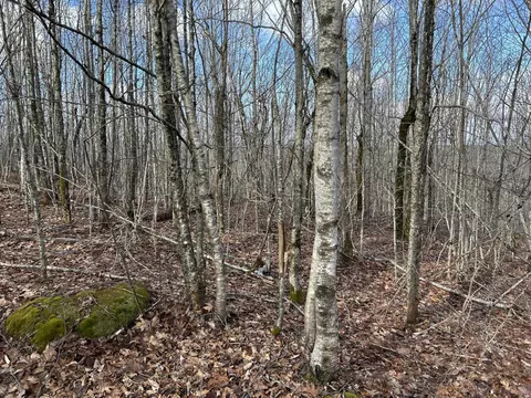 Map8lot6 Cmp, Prospect, ME 04981 photo 6