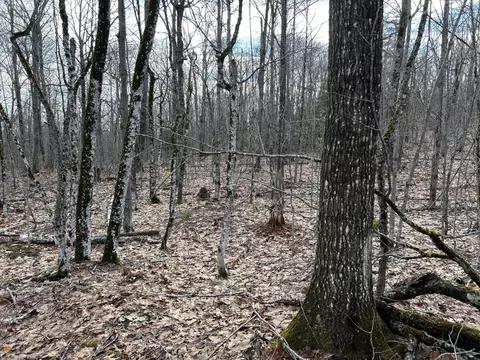 Map8lot6 Cmp, Prospect, ME 04981 photo 34