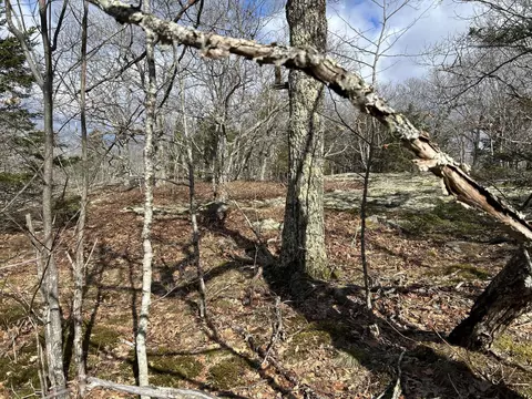 Map8lot6 Cmp, Prospect, ME 04981 photo 23