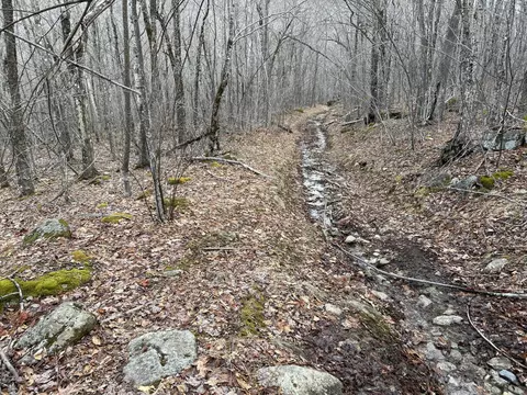 Map8lot6 Cmp, Prospect, ME 04981 photo 31