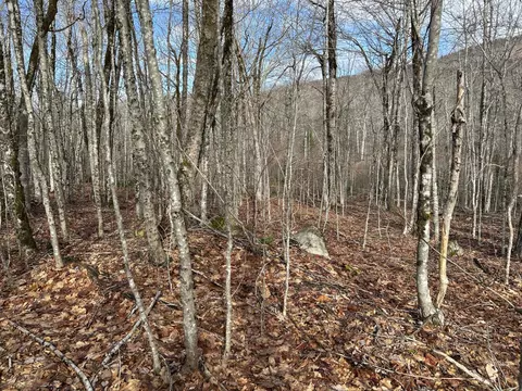 Map8lot6 Cmp, Prospect, ME 04981 photo 17