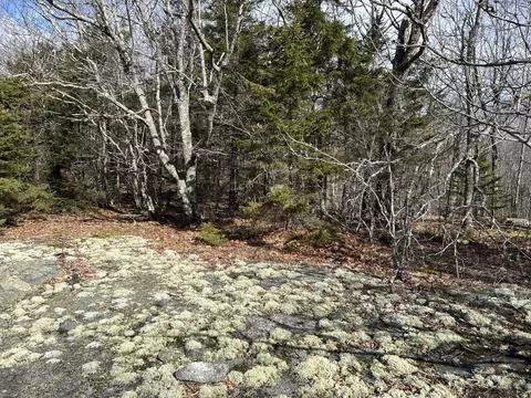 Map8lot6 Cmp, Prospect, ME 04981 photo 22