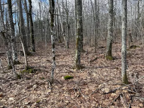 Map8lot6 Cmp, Prospect, ME 04981 photo 37