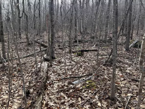 Map8lot6 Cmp, Prospect, ME 04981 photo 14