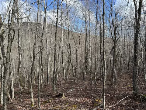 Map8lot6 Cmp, Prospect, ME 04981 photo 10