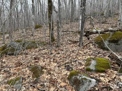 Map8lot6 Cmp, Prospect, ME 04981 photo 29