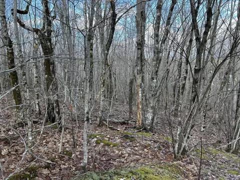 Map8lot6 Cmp, Prospect, ME 04981 photo 41