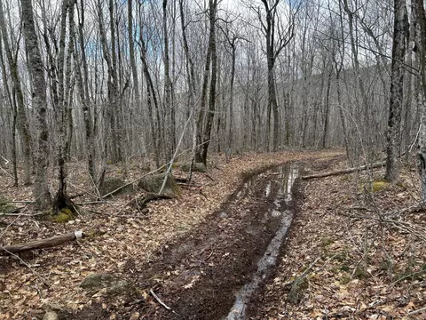 Map8lot6 Cmp, Prospect, ME 04981 photo 30