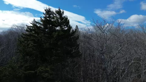 Map8lot6 Cmp, Prospect, ME 04981 photo 2