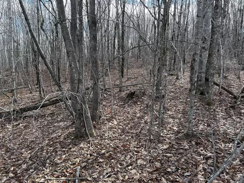 Map8lot6 Cmp, Prospect, ME 04981 photo 7